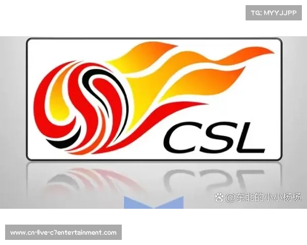 中国足协公布2026赛季职业联赛升降级政策：中超降2队，中甲升2降2.5